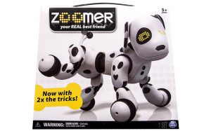 boite-zoomer-dalmatien