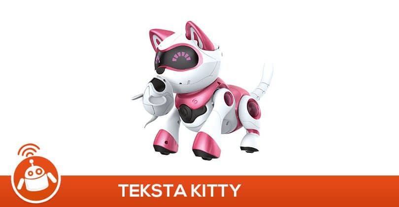 Ma fille a testé le robot chat Teksta Kitty rose